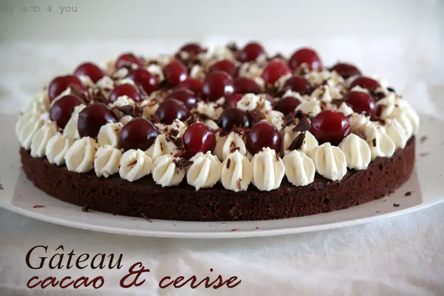 Gâteau au Chocolat et aux Cerises