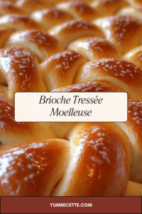 Brioche Tressée Moelleuse