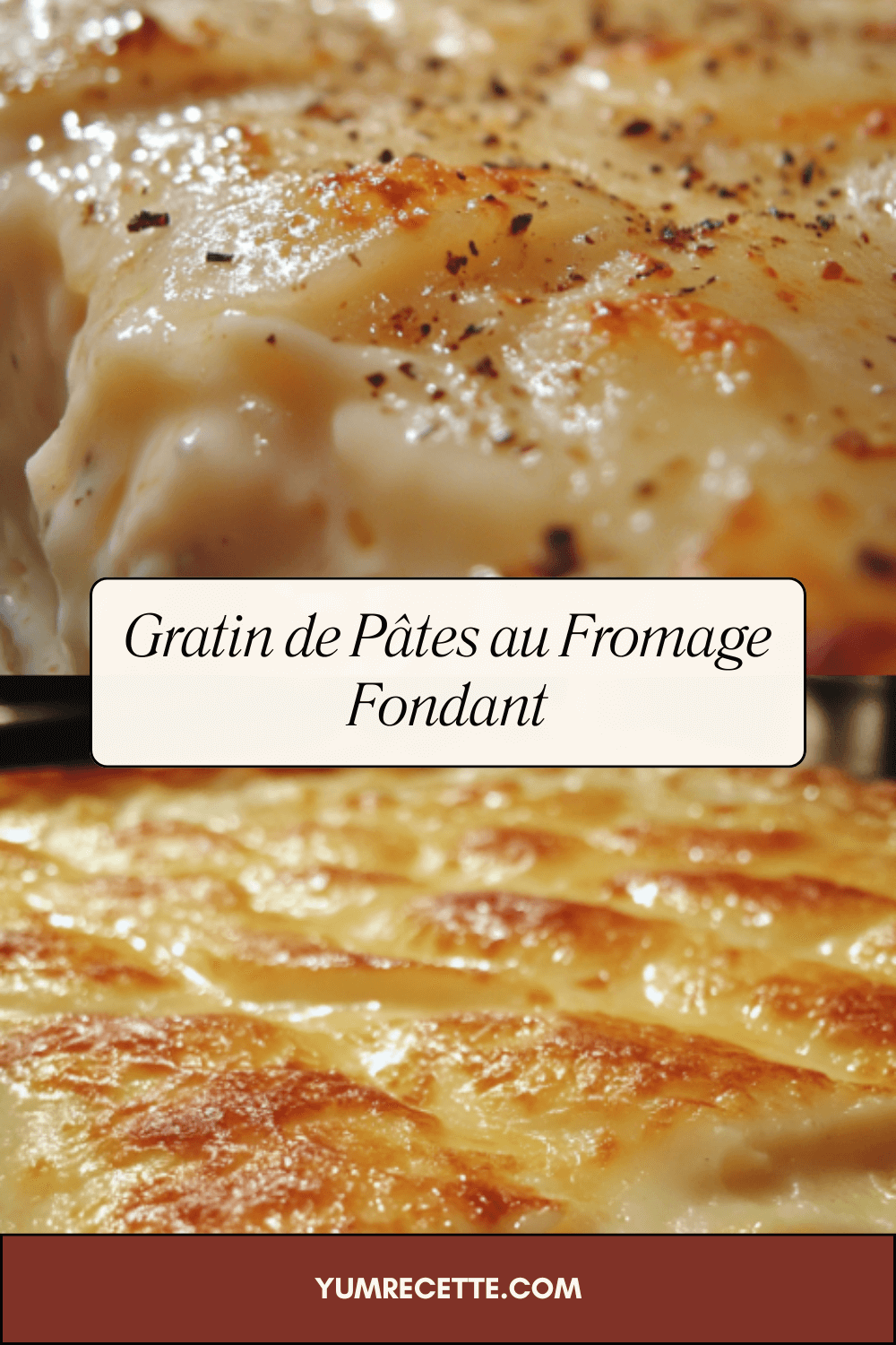 Gratin de Pâtes au Fromage Fondant