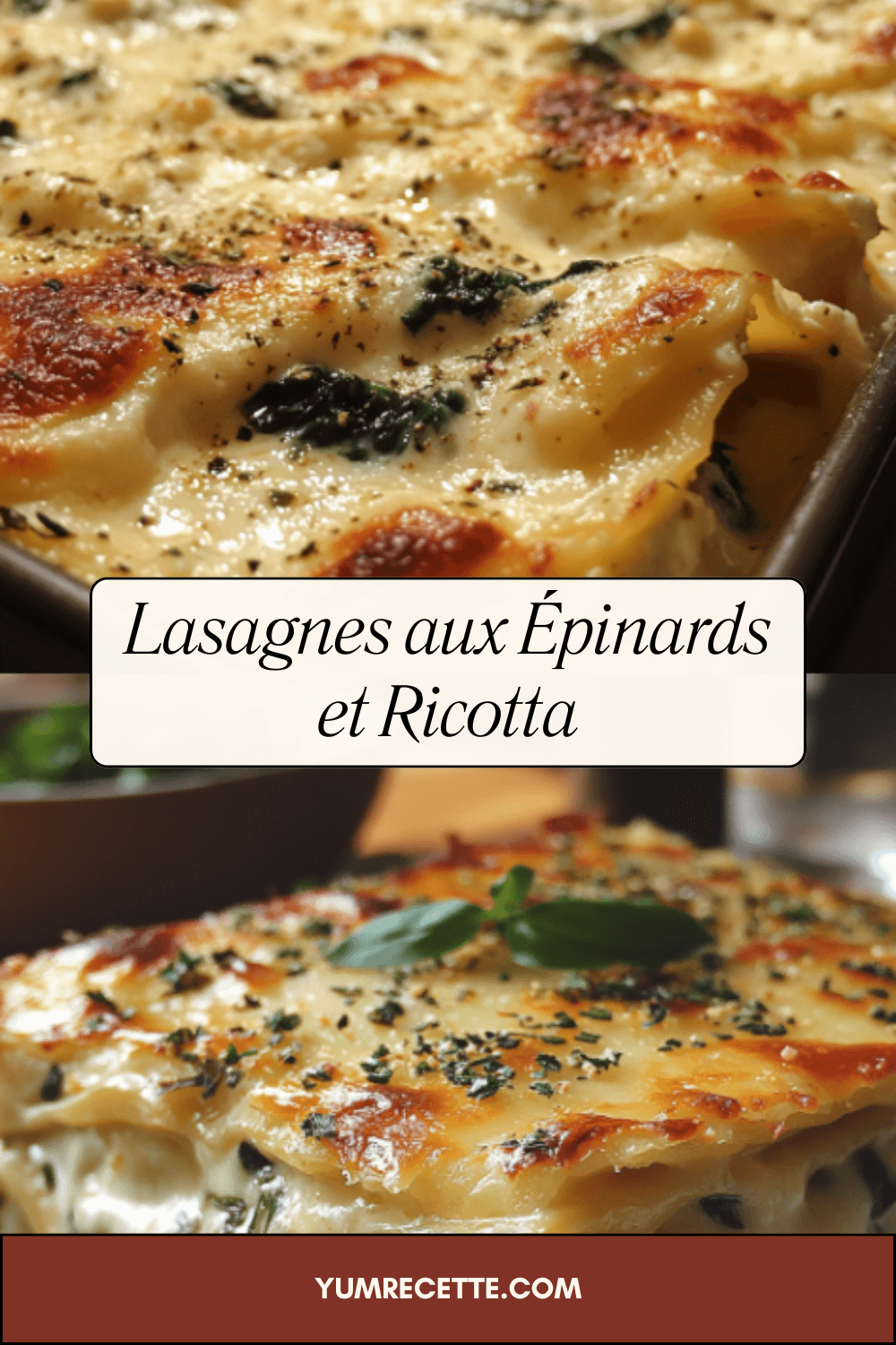 Lasagnes aux Épinards et Ricotta