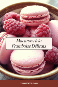 Macarons à la Framboise Délicats