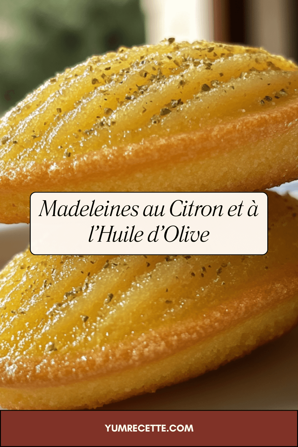 Madeleines au Citron et à l’Huile d’Olive