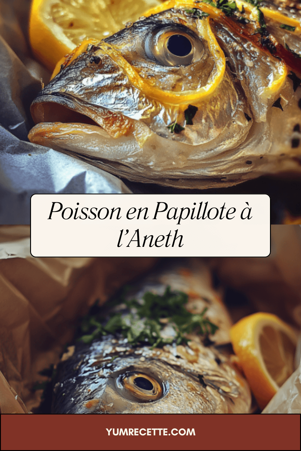 Poisson en Papillote à l’Aneth