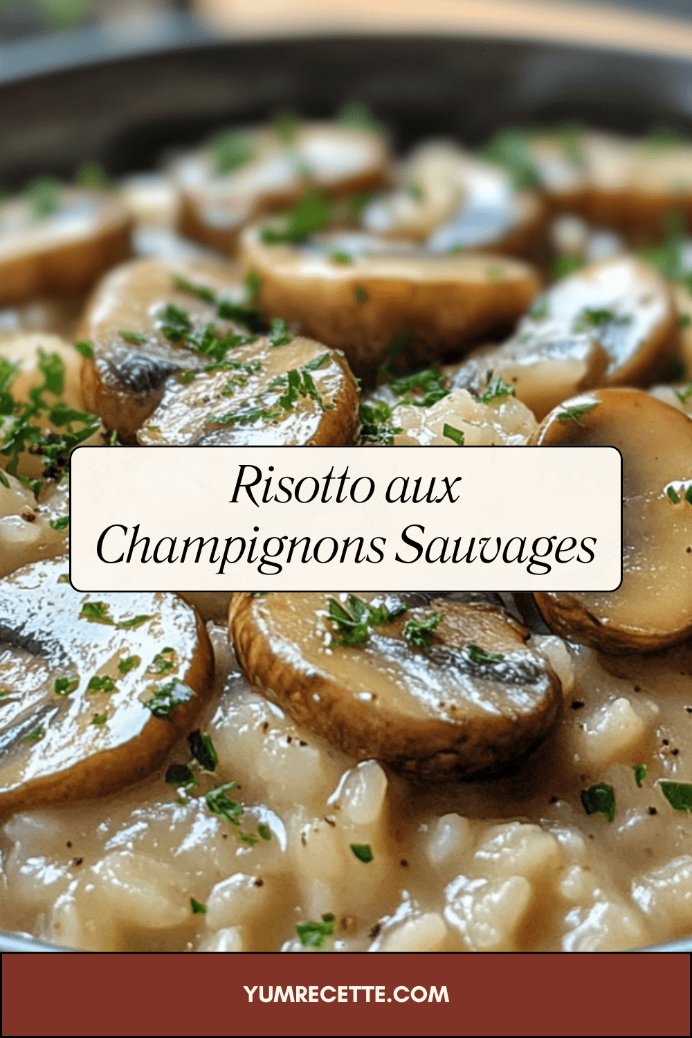 Risotto aux Champignons Sauvages