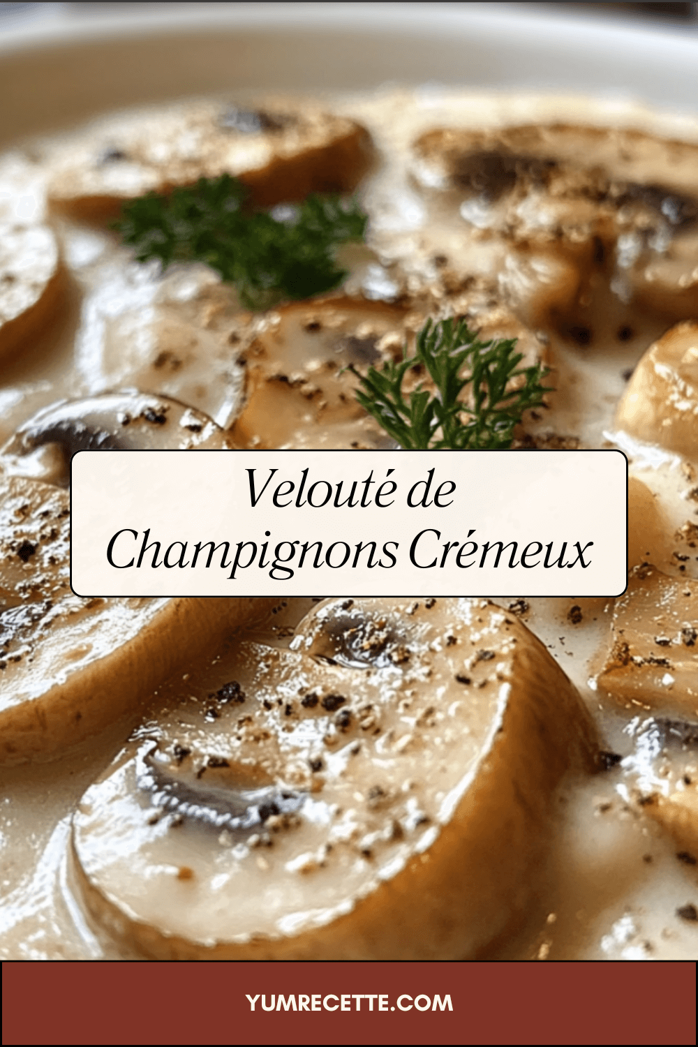 Velouté de Champignons Crémeux